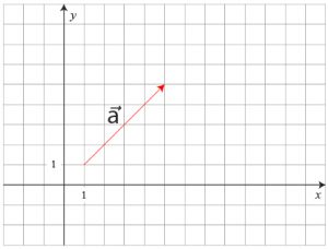 Vektorer - Alt Du Skal Vide Til Matematik Eksamen. Lær På Under 2 Min!